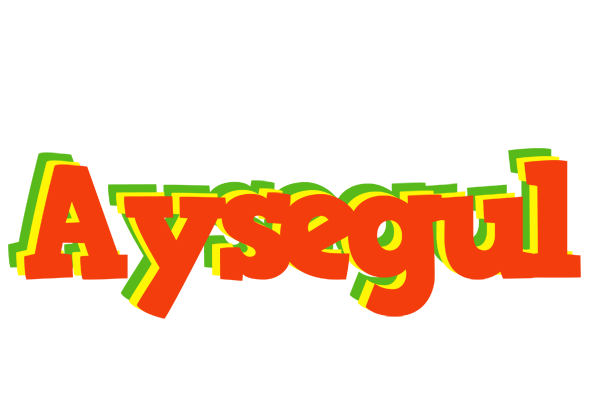 Aysegul bbq logo