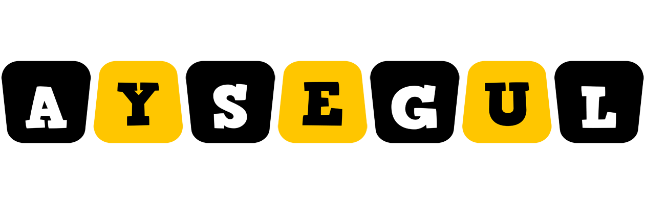 Aysegul boots logo