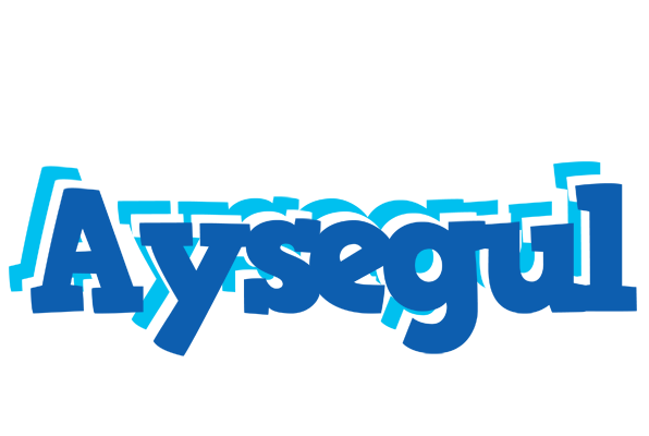 Aysegul business logo