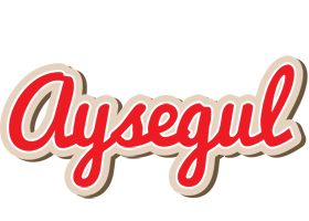 Aysegul chocolate logo