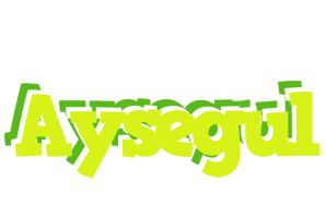 Aysegul citrus logo