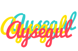 Aysegul disco logo