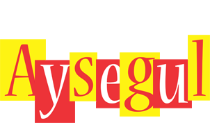 Aysegul errors logo