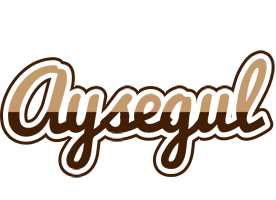 Aysegul exclusive logo