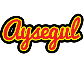 Aysegul fireman logo