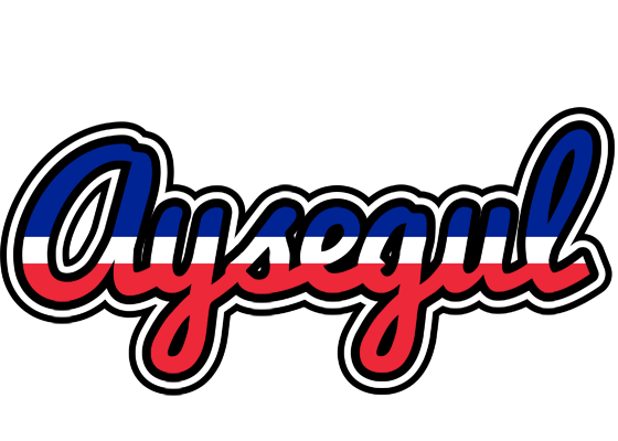 Aysegul france logo