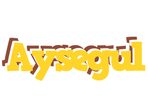 Aysegul hotcup logo