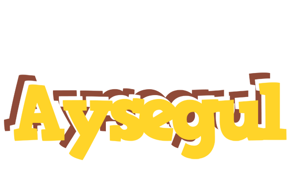 Aysegul hotcup logo