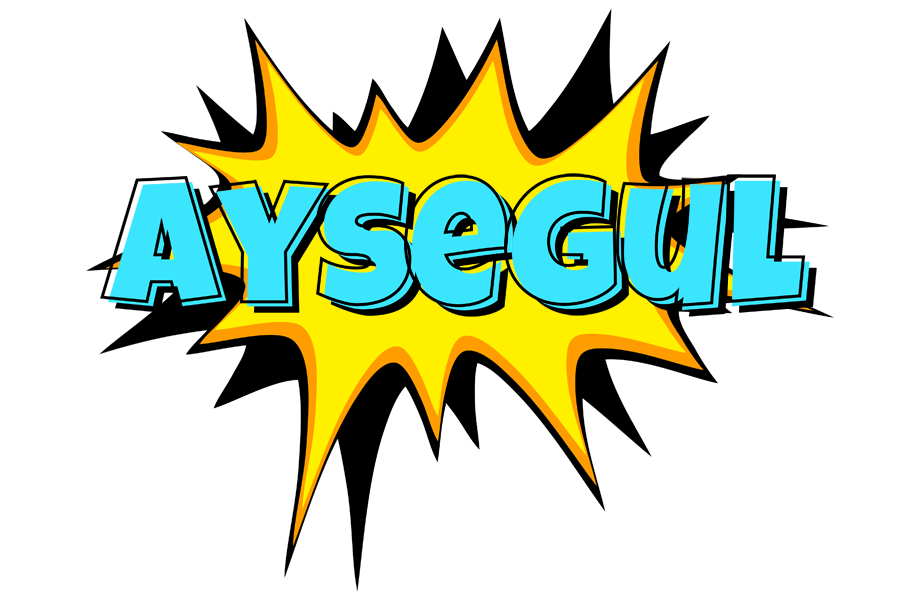 Aysegul indycar logo