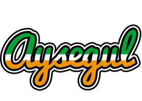 Aysegul ireland logo