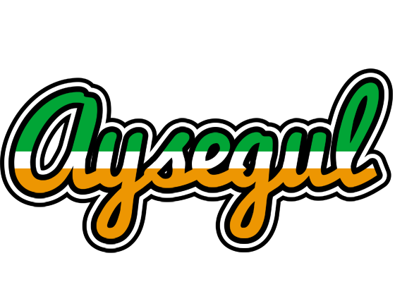 Aysegul ireland logo