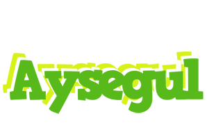 Aysegul picnic logo