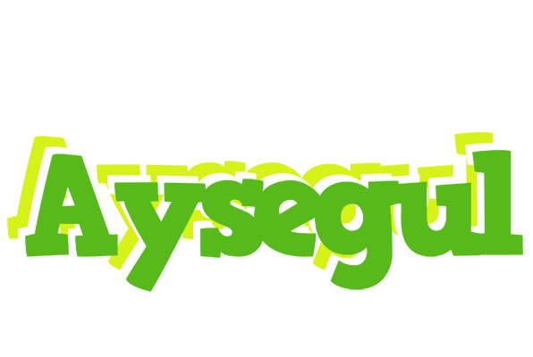 Aysegul picnic logo