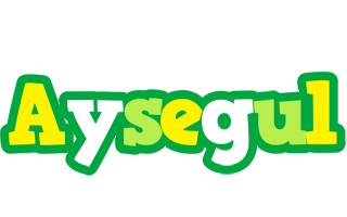 Aysegul soccer logo