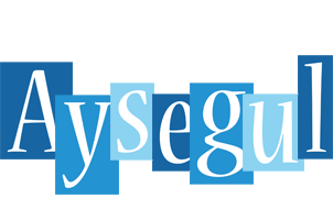 Aysegul winter logo