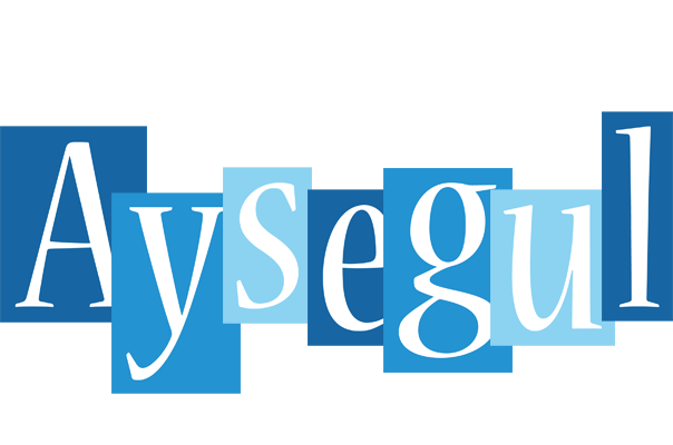 Aysegul winter logo
