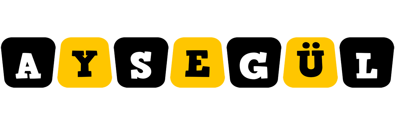 Aysegül boots logo