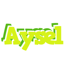 Aysel citrus logo