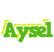 Aysel picnic logo