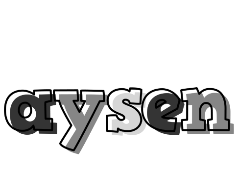 Aysen night logo