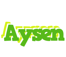 Aysen picnic logo