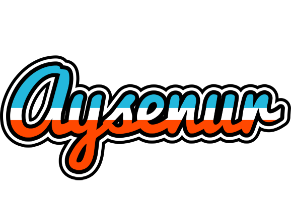 Aysenur america logo