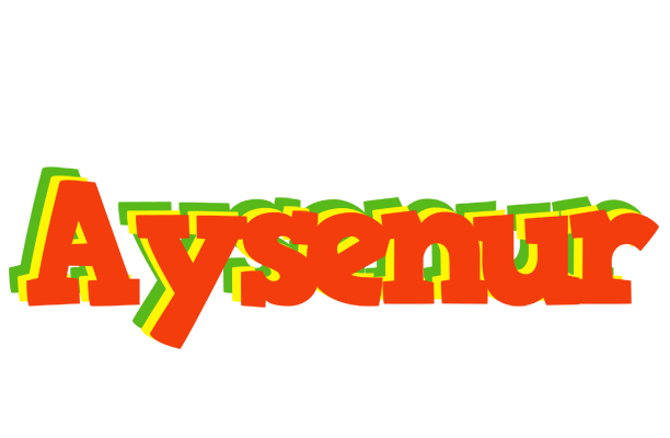 Aysenur bbq logo