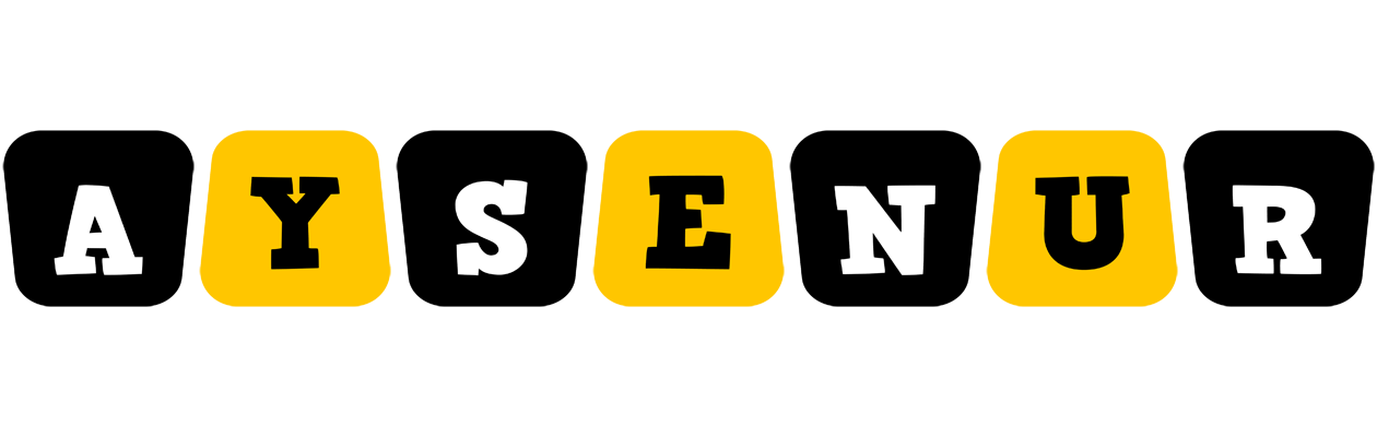 Aysenur boots logo