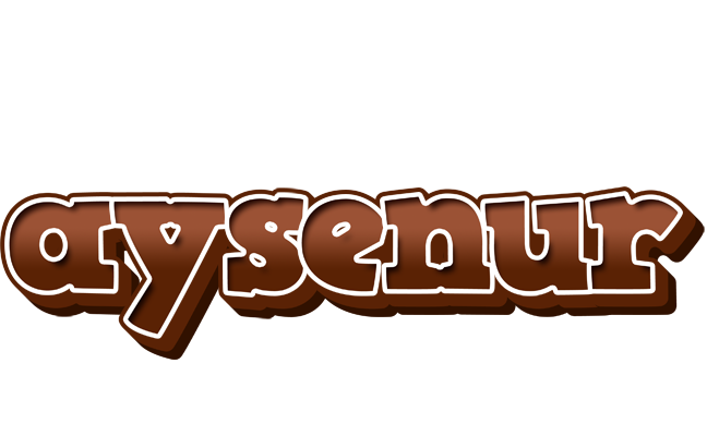 Aysenur brownie logo