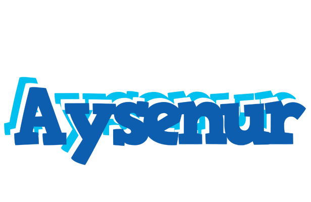 Aysenur business logo