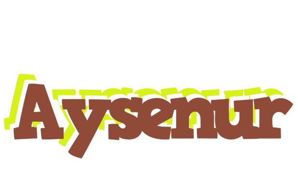 Aysenur caffeebar logo