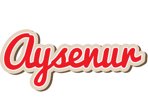 Aysenur chocolate logo