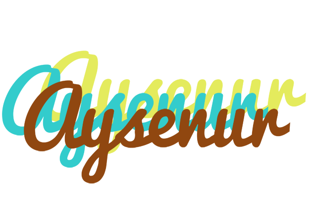 Aysenur cupcake logo