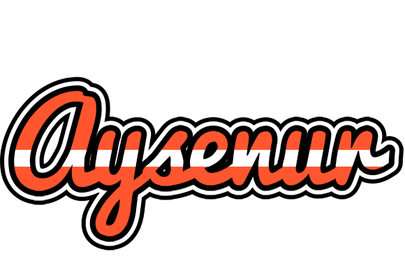 Aysenur denmark logo
