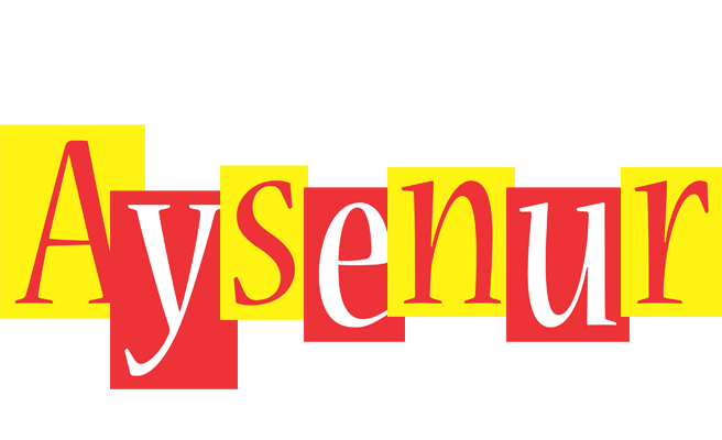 Aysenur errors logo
