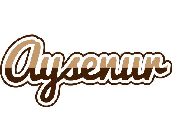 Aysenur exclusive logo