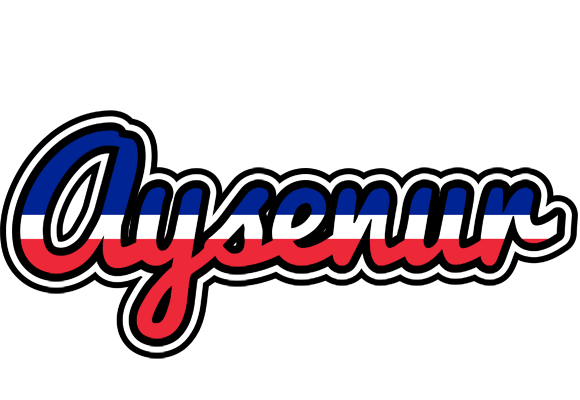Aysenur france logo