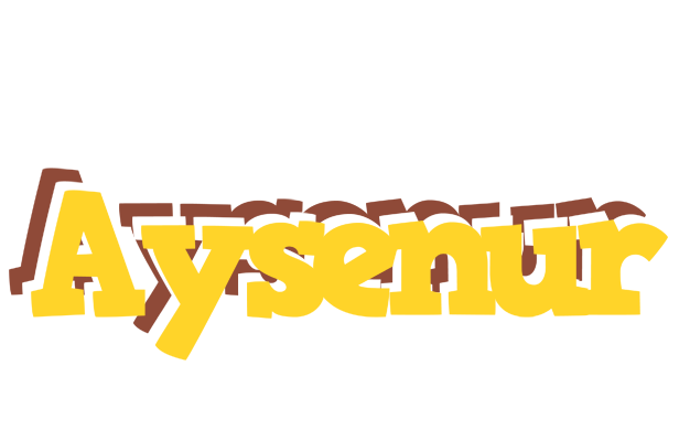 Aysenur hotcup logo