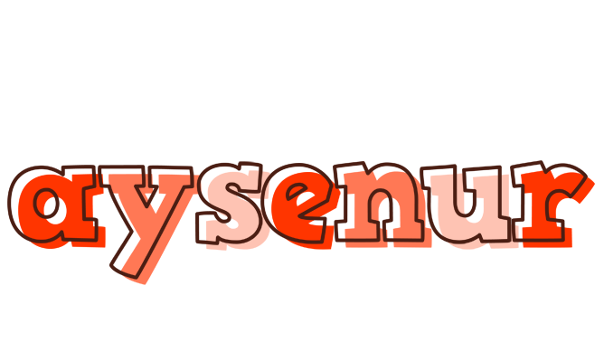 Aysenur paint logo