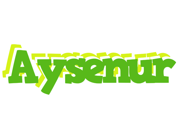 Aysenur picnic logo