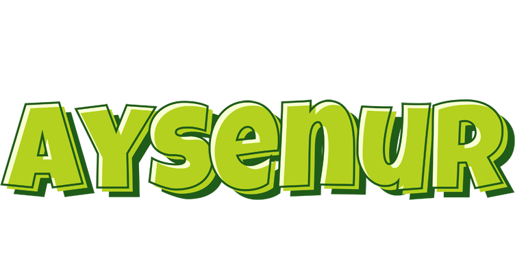 Aysenur summer logo