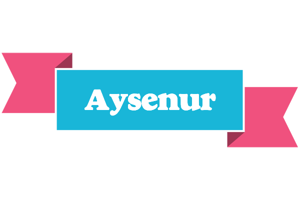 Aysenur today logo