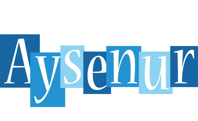 Aysenur winter logo