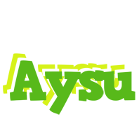Aysu picnic logo
