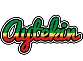 Aytekin african logo