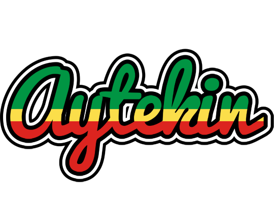 Aytekin african logo