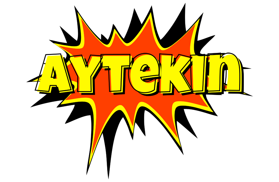 Aytekin bazinga logo