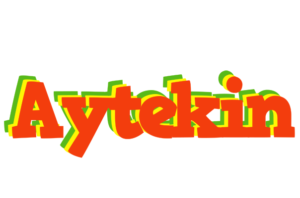 Aytekin bbq logo
