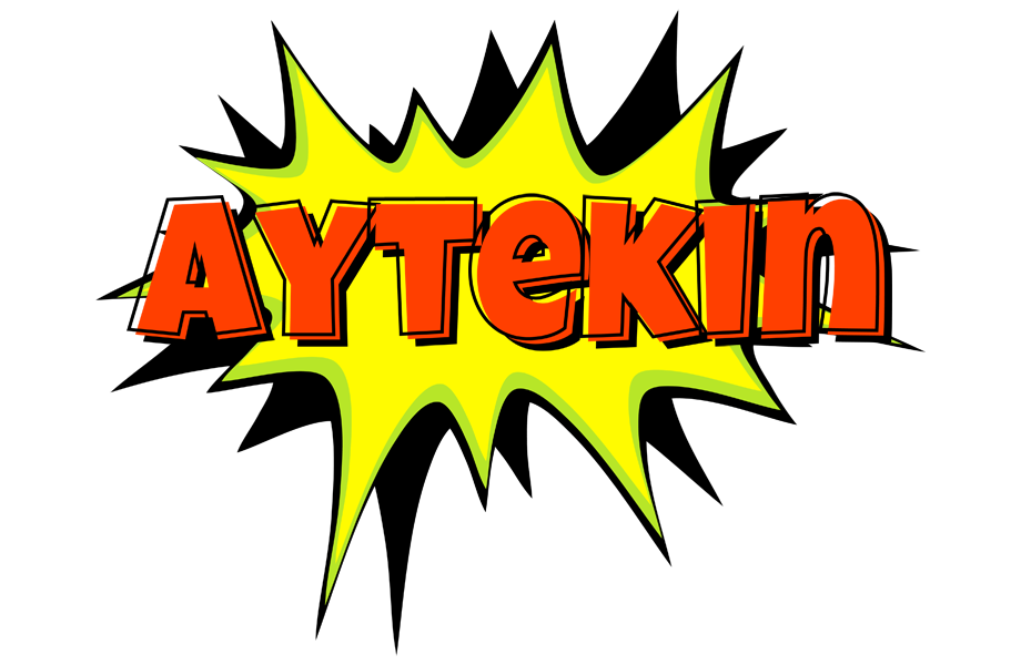 Aytekin bigfoot logo