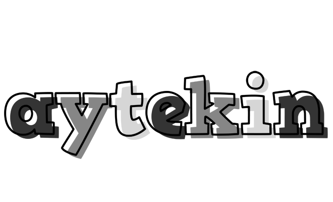 Aytekin night logo